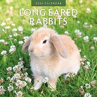 Rabbits 2026 Wall Calendar