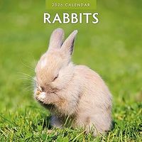 Rabbits 2026 Wall Calendar