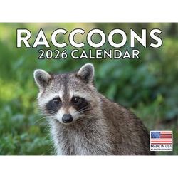Raccoons 2026 Calendar
