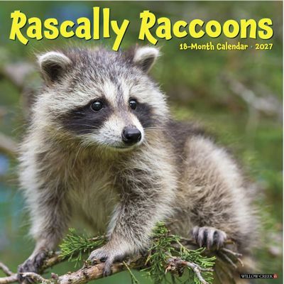 Raccoons 2027 Calendar