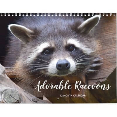 Adorable Raccoons 2027 Calendar