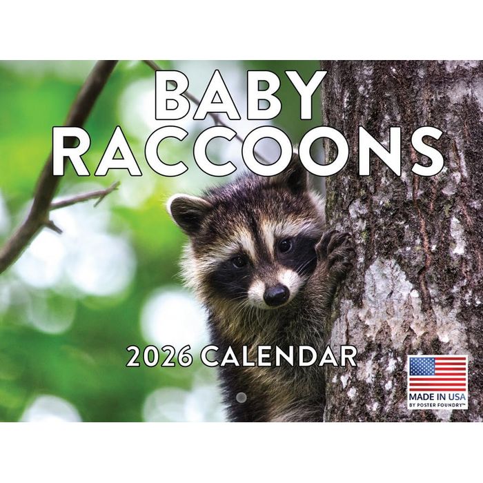 Baby Raccoons 2026 Wall Calendar