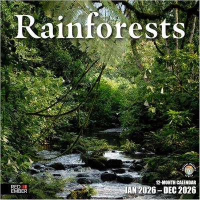 Rainforests 2026 Wall Calendar