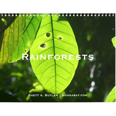 Rainforests 2027 Wall Calendar