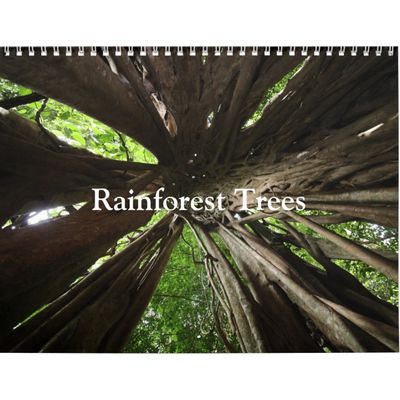 Rainforest Trees 2027 Wall Calendar