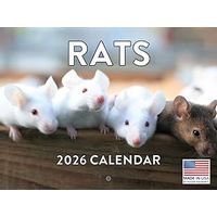 Rats 2026 Wall Calendar