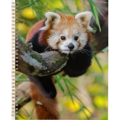Red Panda 2027 Planner