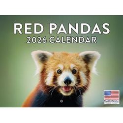 Red Pandas 2026 Calendar