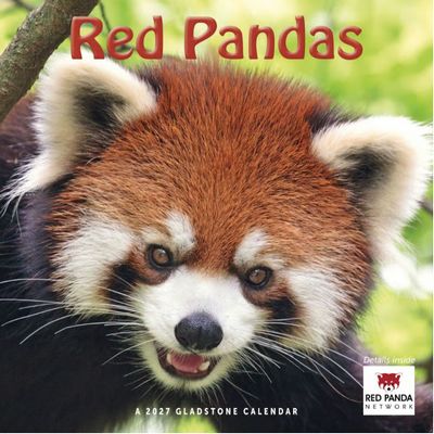 Red Pandas 2027 Calendar