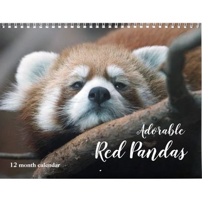 Adorable Red Pandas 2027 Calendar