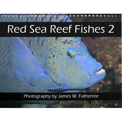 Red Sea Reef Fishes 2027 Calendar 2