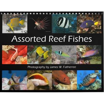 Reef Fishes 2027 Wall Calendar