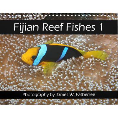 Fijian Reef Fishes 2027 Calendar 1