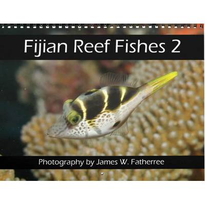 Fijian Reef Fishes 2027 Calendar 2