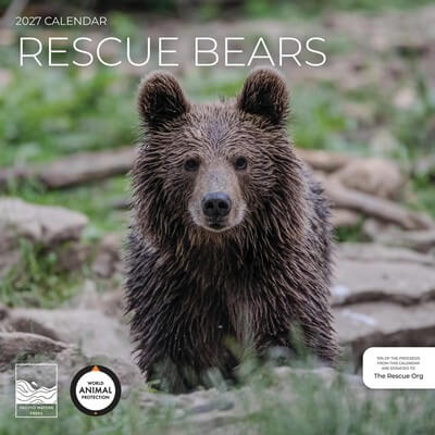 Rescue Bears 2027 Wall Calendar