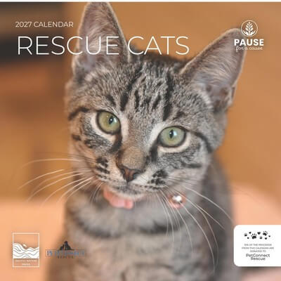 Rescue Cats 2027 Wall Calendar