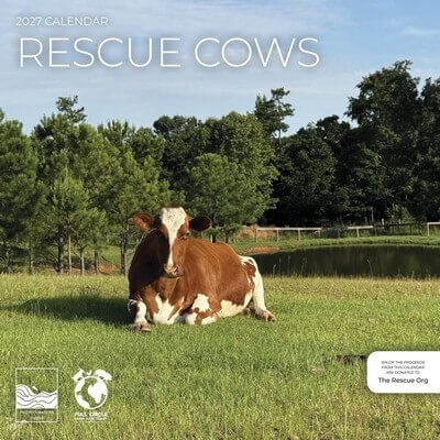 Rescue Cows 2027 Wall Calendar