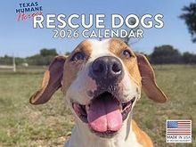 Rescue Dogs 2026 Calendar