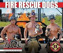 Rescue Dogs 2026 Calendar