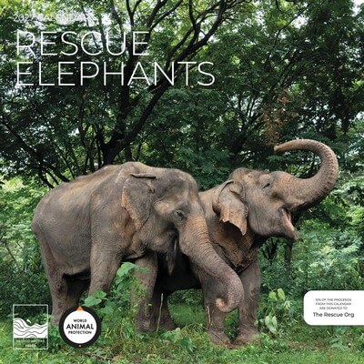 Rescue Elephants 2027 Wall Calendar