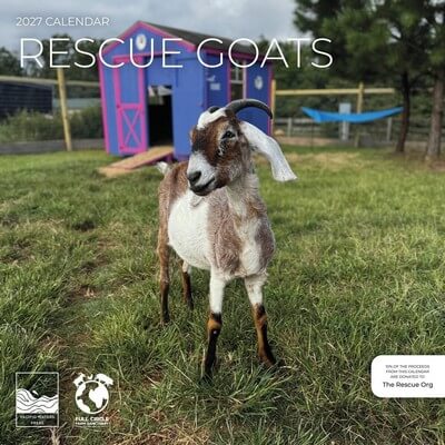 Rescue Goats 2027 Wall Calendar
