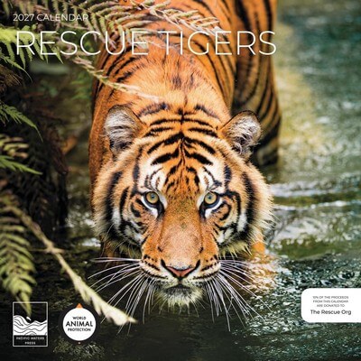 Rescue Tigers 2027 Wall Calendar