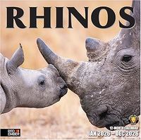Rhinos 2026 Calendar