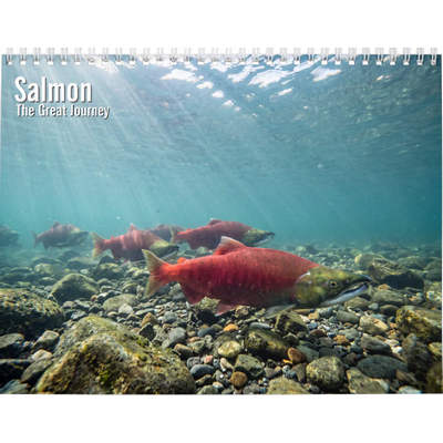 Salmon 2027 Wall Calendar
