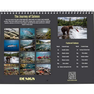 Salmon 2027 Wall Calendar