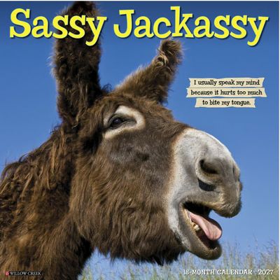 Sassy Jackassy 2027 Calendar