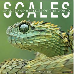 Scales 2026 Wall Calenda