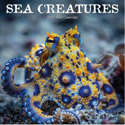 Sea Creatures 2027 Wall Calendar