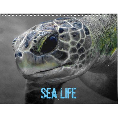 Sea Life 2027 Wall Calendar