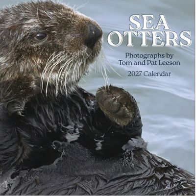 Sea Otters 2026 Wall calendar