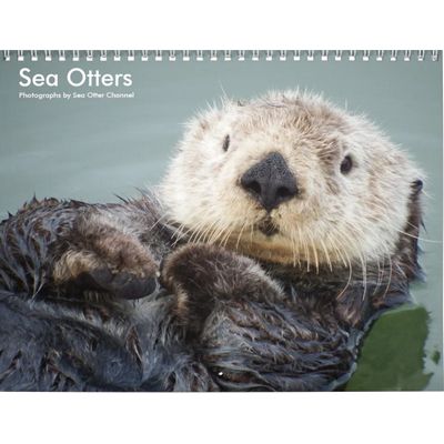 Sea Otters 2027 Calendar