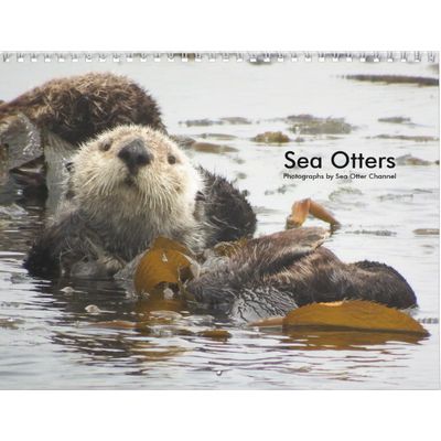 Sea Otters 2027 Calendar