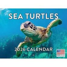 Sea Turtles 2026 Calendar