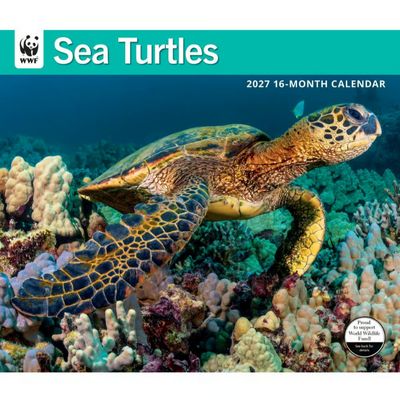 WWF Sea Turtles 2027 Wall Calendar