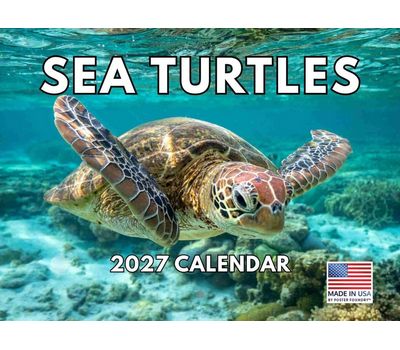 Sea Turtles 2027 Wall Calendar