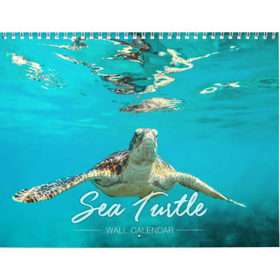 Sea Turtles 2027 Wall Calendar