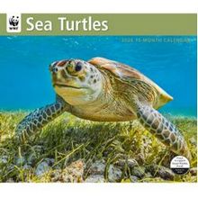 Sea Turtles WWF 2026 Wall Calendar