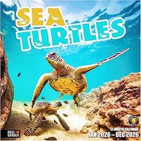 Sea Turtles 2026 Wall Calendar