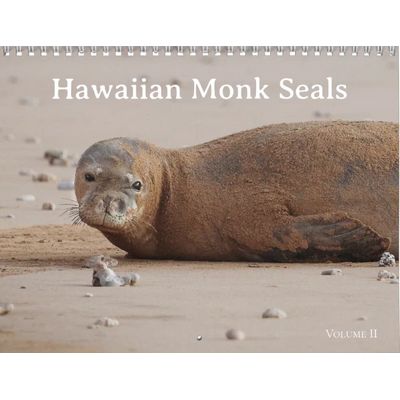 Hawaiian Monk Seals 2027 Calendar