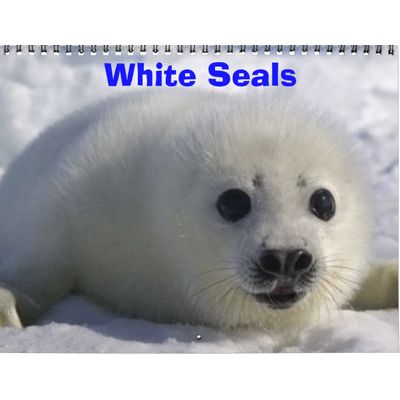 White Seals 2027 Calendar