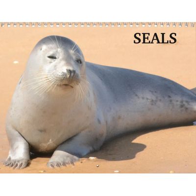 Seals 2027 Calendar
