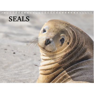 Seals 2027 Calendar
