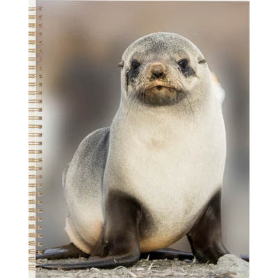 Portrait of Seal Pup on the Beach Planner
