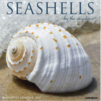 Seashells 2026 Wall Calendar