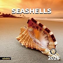 Seashells 2026 Wall Calendar
