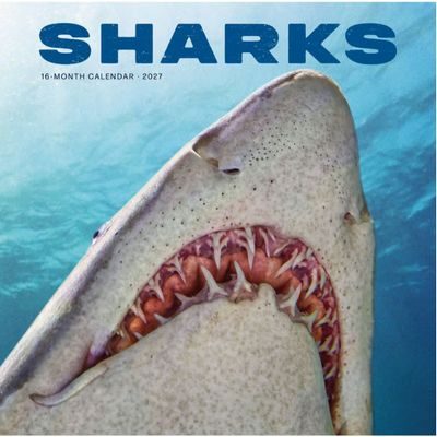 Sharks 2027 Calendar